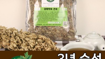 향긋한 쑥 내음 가득! 강화약쑥 솔직 후기 (ft. 꿀팁🍯)