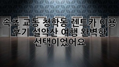 속초 교동 청학동 렌트카 이용 후기: 설악산 여행, 완벽한 선택이었어요!