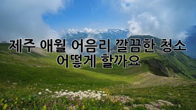 제주 애월 어음리 깔끔한 청소, 어떻게 할까요?
