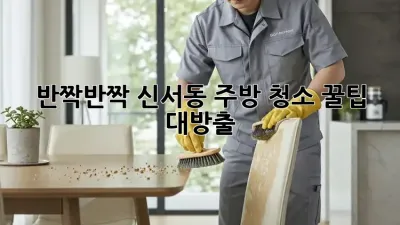 ✨반짝반짝✨ 신서동 주방 청소, ✨꿀팁✨ 대방출!